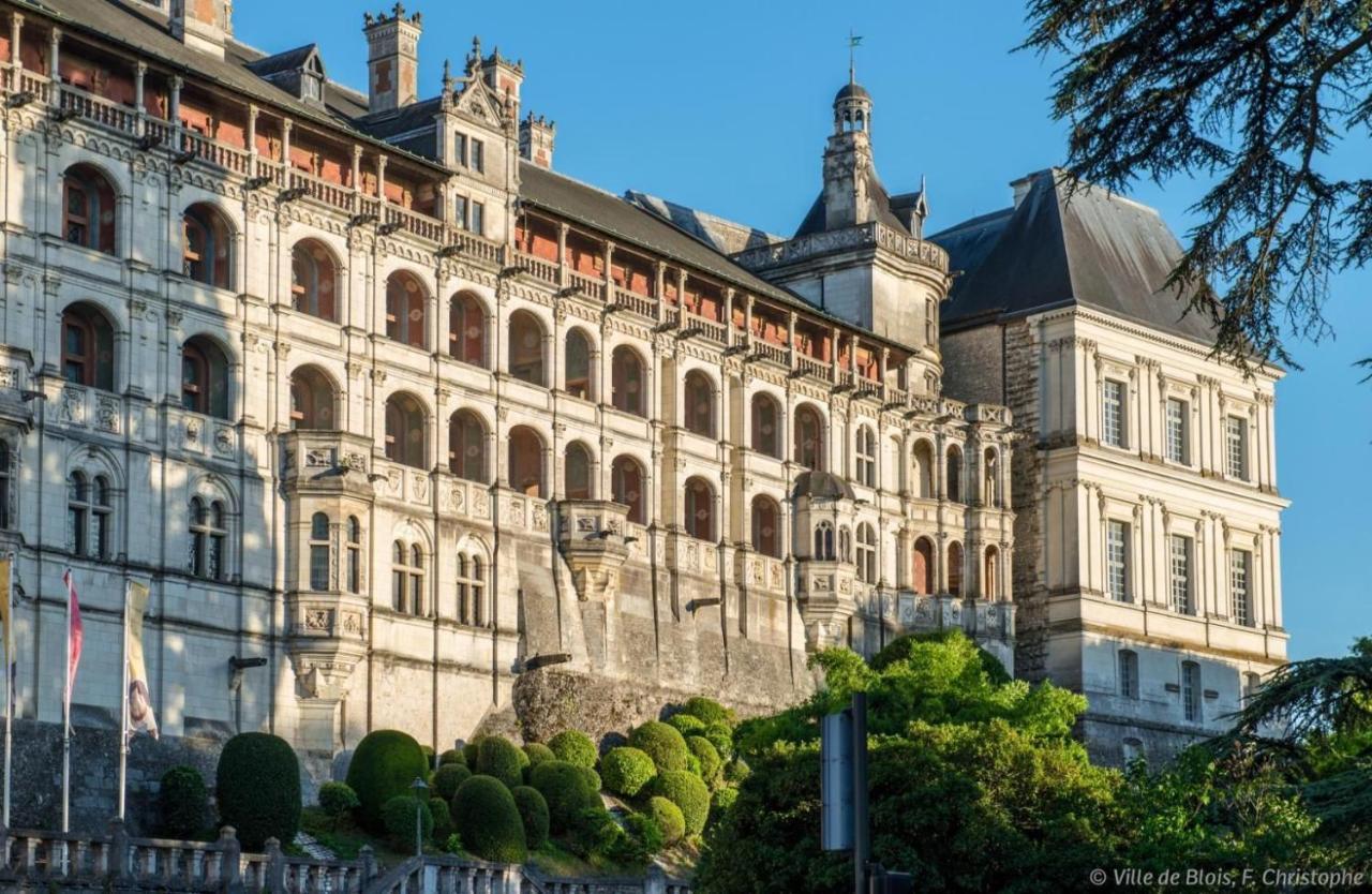 Charmant Appartement Au Coeur De Blois Luaran gambar
